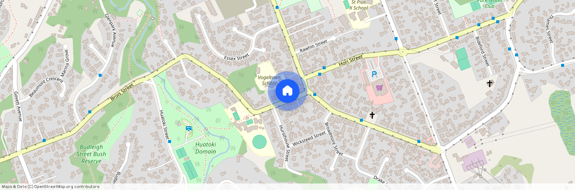 16 Huatoki Street, Vogeltown, New Plymouth