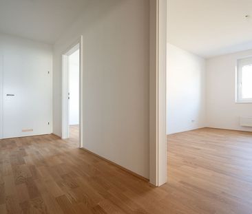 SCHEIBBS XXIII/1 - Foto 5