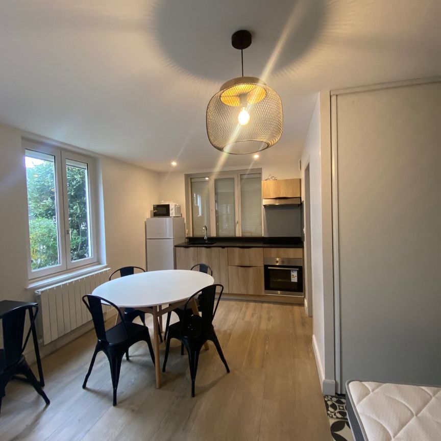 Location Appartement 1 pièce 26m² BRIGNAIS 69530 - Photo 1