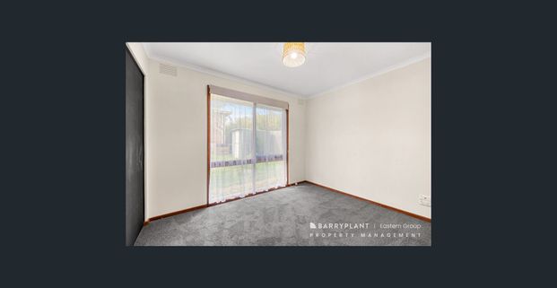 Rare Find! - Photo 1