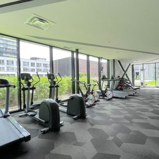 Appartement à louer - Montréal (Le Sud-Ouest) (Griffintown) - Photo 1