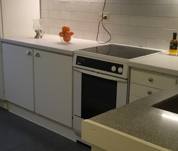 Vibäcksvägen, Harplinge - Photo 5