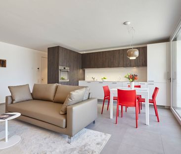 MINUSIO, 2 ½ Zimmerwohnung zu vermieten - Foto 5
