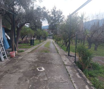 Διαμέρισμα για ενοικίαση Ποσειδωνία (Ανθηδώνος) - Φωτογραφία 2