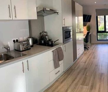 Studio Gold - Photo 3