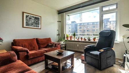 Te huur: Appartement Boerhaavelaan in Leiden - Foto 5