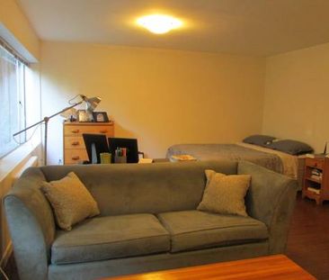 Studio apartment in quiet green west-side neighbourhood - Photo 1