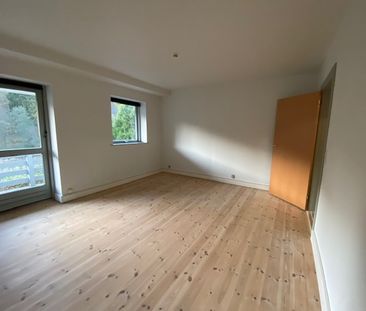 2 vær. lejlighed til leje i Vejle. 51m2. Fantastisk udsigt! - Foto 1