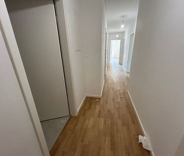 Neubau - Erstbezug - Attraktive 3- Zimmer Wohnung mit Loggia zu ver... - Foto 4