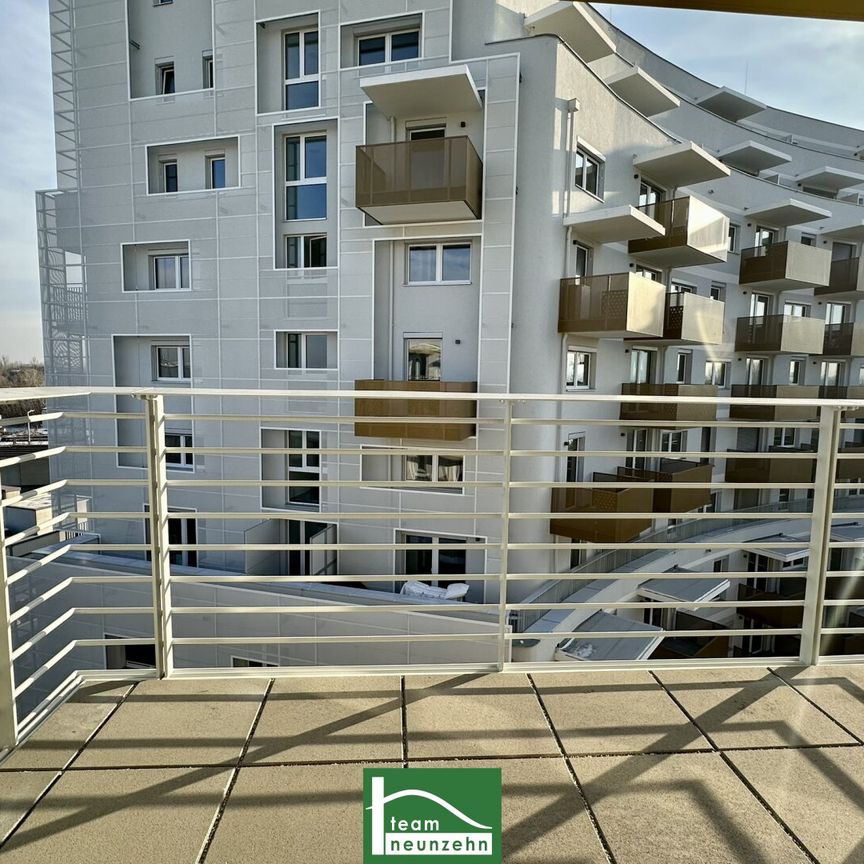 Lichtdurchflutete 1-Zimmer Wohnung in 1220 Wien – ab 01.07.2025 verfügbar! - Photo 1