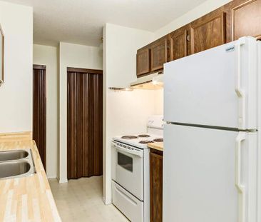 1 Bedroom - Photo 6