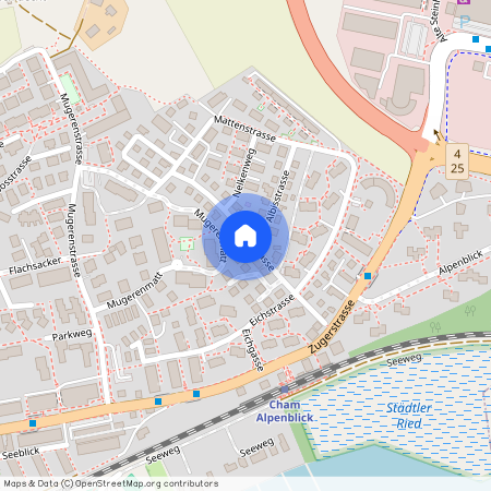 6330, Cham, Duggelistrasse, 11