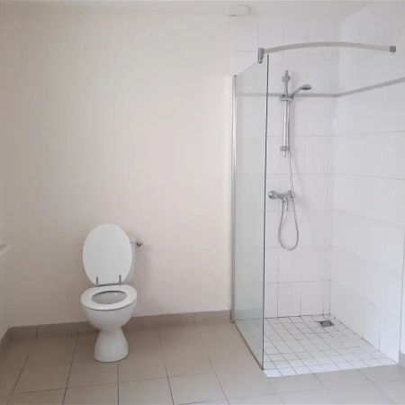 Location appartement 1 pièce - 27m² à Pontchateau (44160) - Photo 4