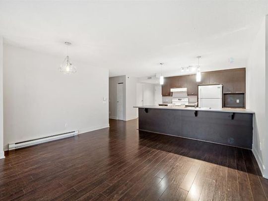 639 Rue Robert Élie - Photo 1