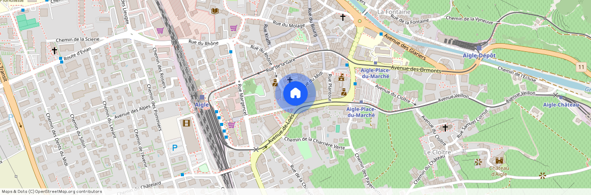 1860, Aigle, Rue Du Rhône, 1