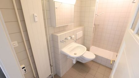 Gemütliches Wohnen in der Kleinbasler Altstadt - Foto 3