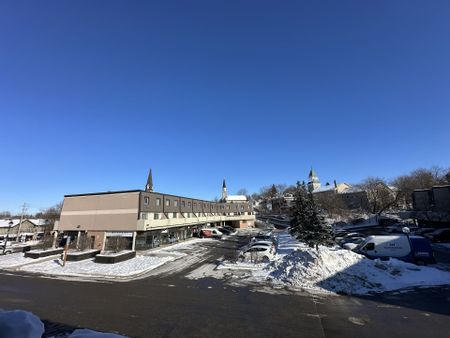 For Lease - 42 Tannery Street Unit# 239, Cambridge, Ontario - Photo 5