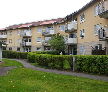 Linimentvägen 6 70+ Lägenhet - Photo 1