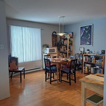 4 1/2 Lévis centre-ville, UQAR, proximité autoroute - Photo 3