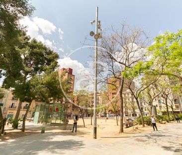 Studio for Rent on Padua Street - Photo 3