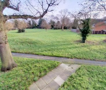 Hopton Road - Photo 1