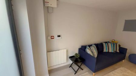 Classic Large Apartment - Photo 5