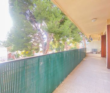 Location Appartement 2 pièces 47m² - Photo 4