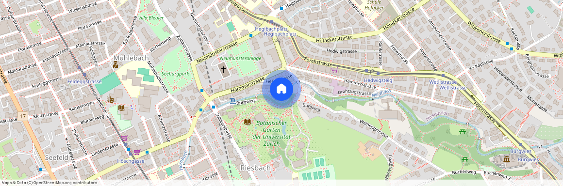 Felsenstrasse 12a, 8008 Zürich