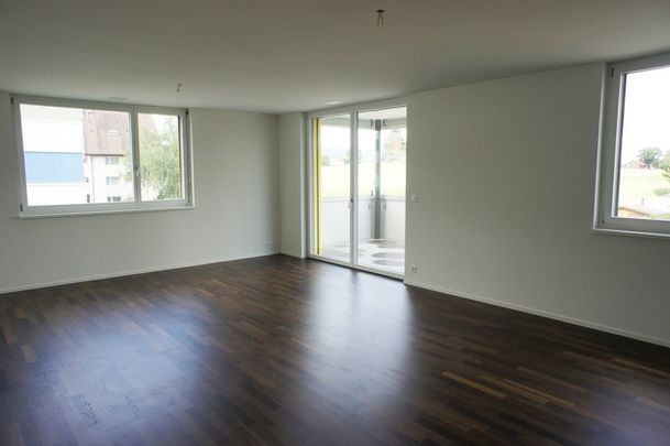 3 ½ Zimmer-Wohnung in Schwerzenbach mieten - Photo 1