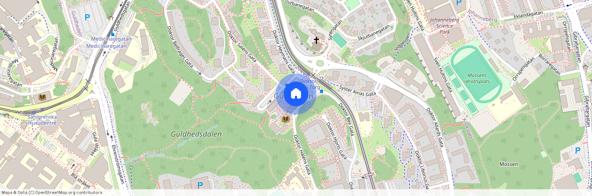 Doktor Fries Torg, Göteborg