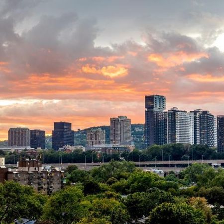 4 1/2 - Montréal (Griffintown) - 2 930 $/mois - Photo 4