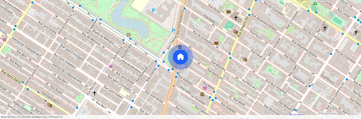 1150 Rue Sherbrooke Est, H2L 1L8, Quebec