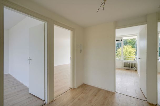Tannhäuserdreef 362, Taag- en Rubicondreef en omgeving, 3561HV, Utrecht - Foto 1