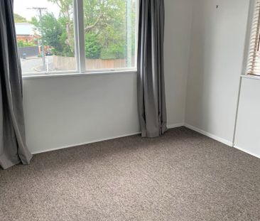 Merivale Unit Across The Road From Hagley Park - Photo 5