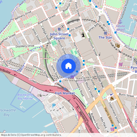 24/104 Miller Street, NSW 2009, Pyrmont