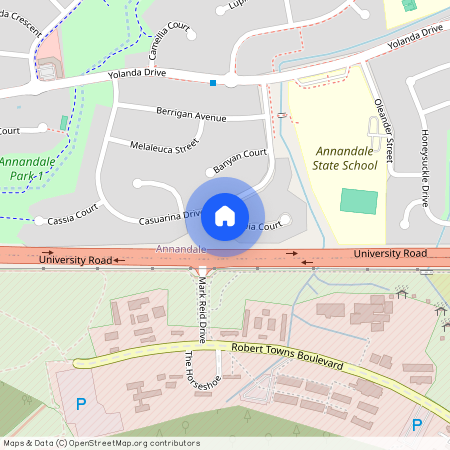 16 Begonia Court, Annandale QLD 4814