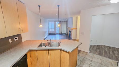 1 Br + Den Beautiful Condo For Rent In Lincoln Park: Heat & Water Included. - Photo 5