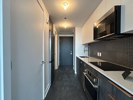 2060 Rue Peel, #1604 - Photo 4