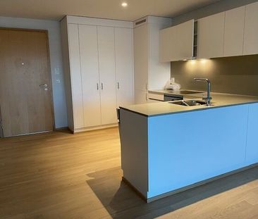 Naturnahes Wohnen direkt an der Limmat - Foto 3