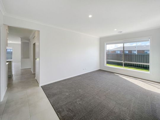 138 Birdwood Avenue, Sebastopol - Photo 1