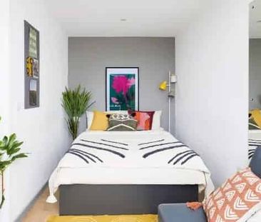 Classic Studio - Photo 6