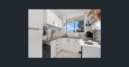 Updated Apartment in Prime Harris Park Location - Photo 5