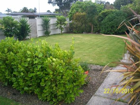 Great 3 Bedroom house in PILLANS POINT LOCATION - Photo 5