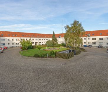 God 2-vær i rolig ejendom med fri parkering - Photo 1