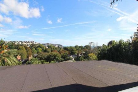 Old Mill Road, Chelston, TQ2 - Photo 5