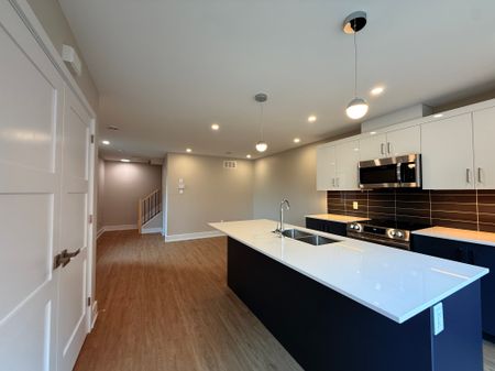 115-117-119 Springfield - Photo 4