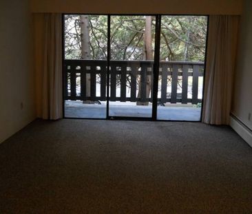 Spacious 1 Bedroom Apartment (Unit 217) - Photo 1