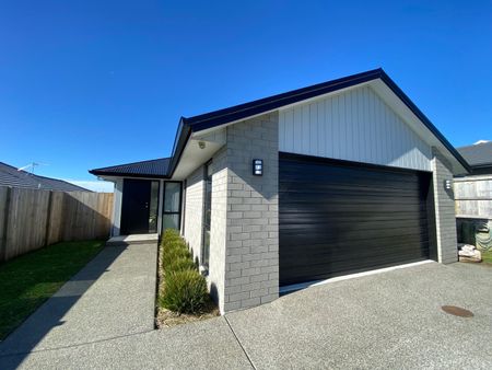 9 Winspear Place, Omokoroa - Photo 5