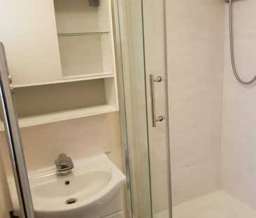1 bed Apartment for Rent - Photo 4
