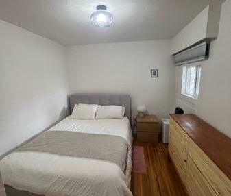 Large pet friendly 1 BED - Photo 1